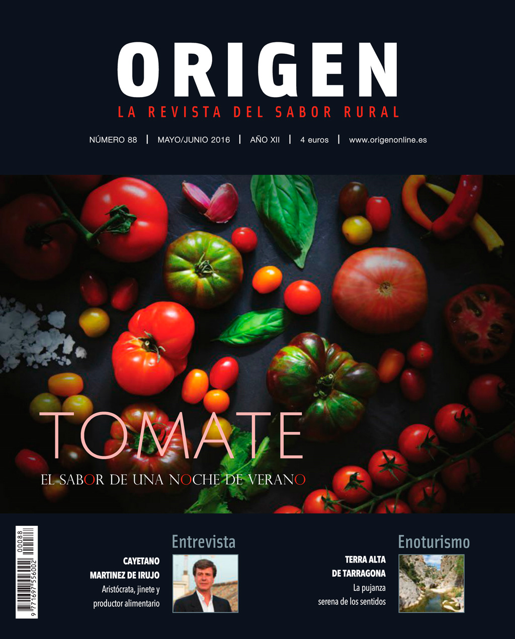 casa-gerardo-portada-captura